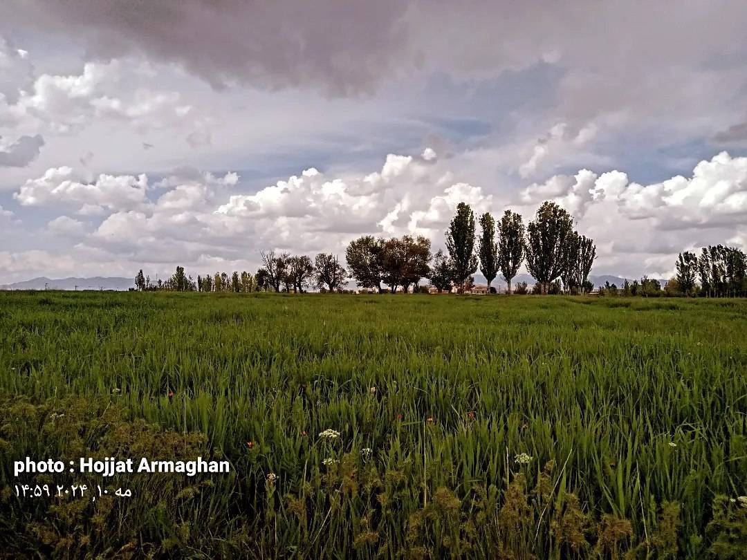 طبیعت سرسبز و بهاری روستای کلوانق