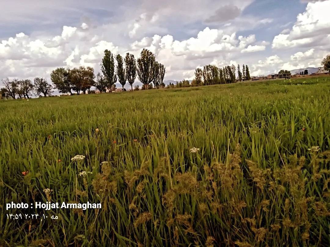 روایتی از طبیعت بهاری شهر کلوانق