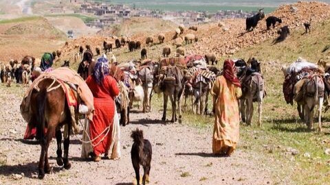 آغاز کوچ بهاره عشایر به چهارمحال و بختیاری