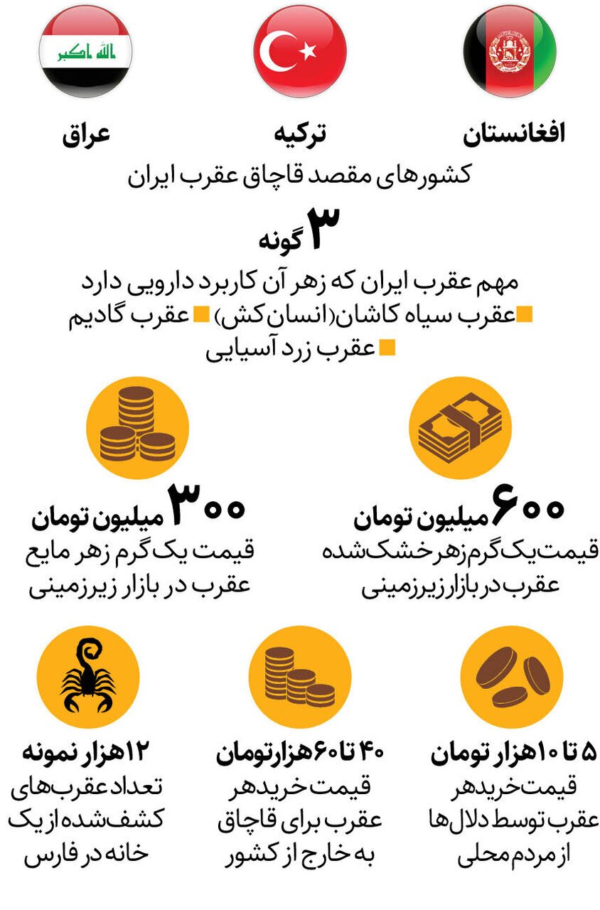 آمار قاچاق و تجارت عقرب