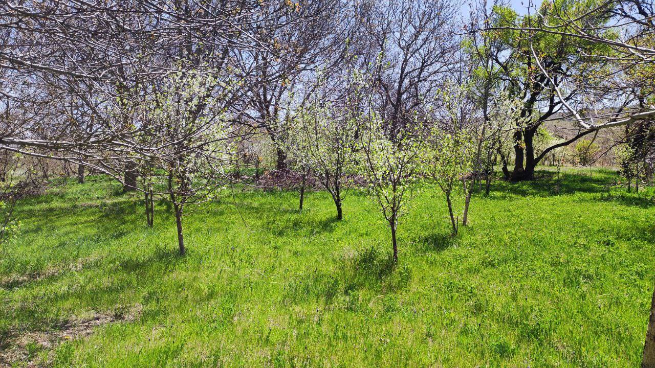 طبیعت بهاری روستای توآباد