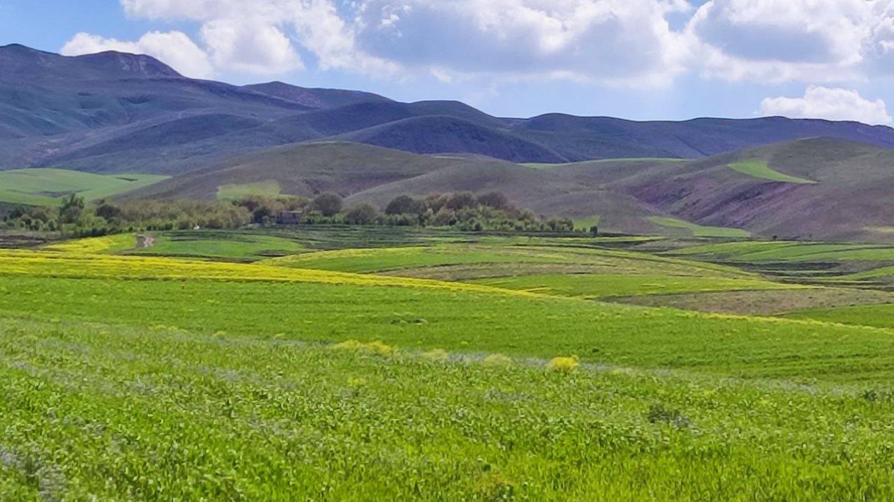 منظره بهاری روستای توآباد قزوین