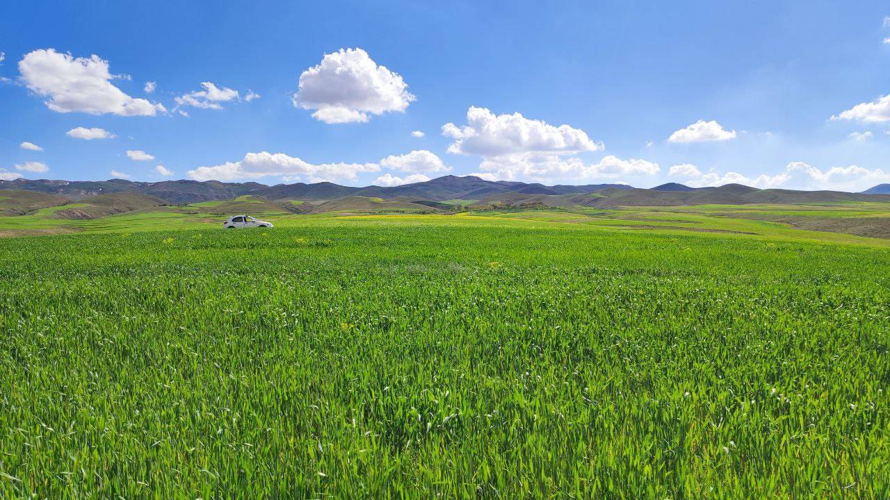طبیعت سر سبز روستای توآباد