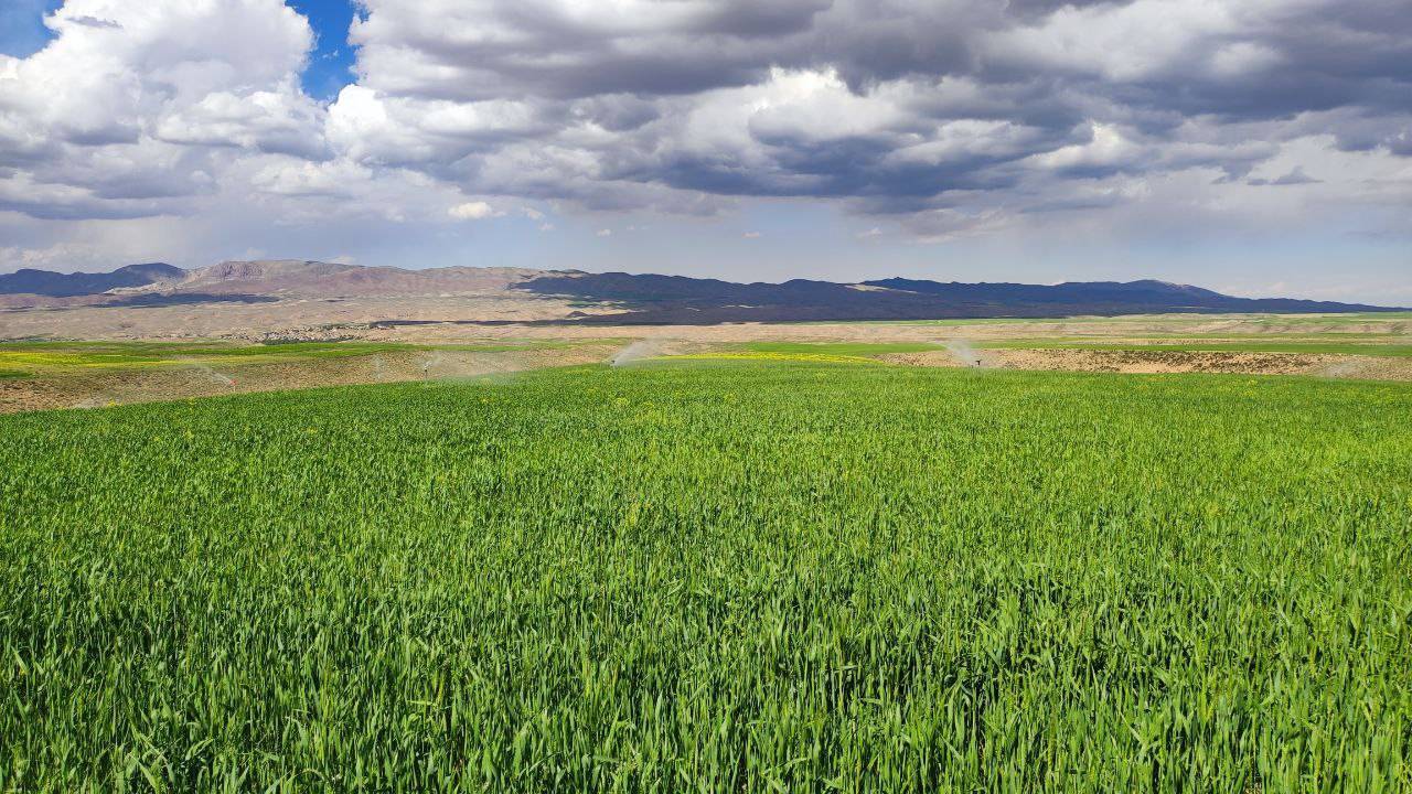 طبیعت بهاری روستای گردشگری توآباد