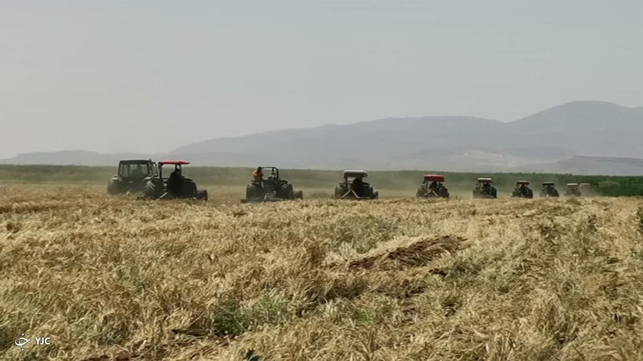 تمامی مزارع آلوده به فاضلاب در شیراز امحاء شد