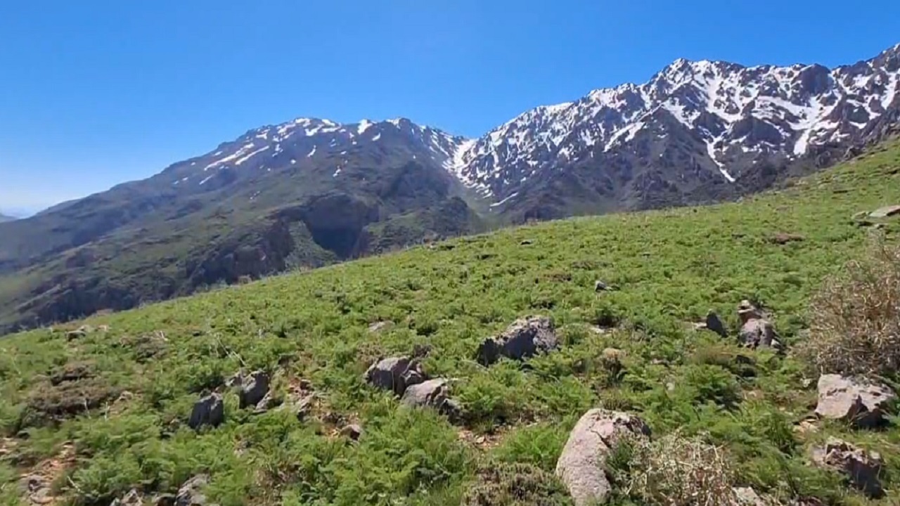 چشم نوازی طبیعت دشت خاوه دلفان در فصل بهار + فیلم