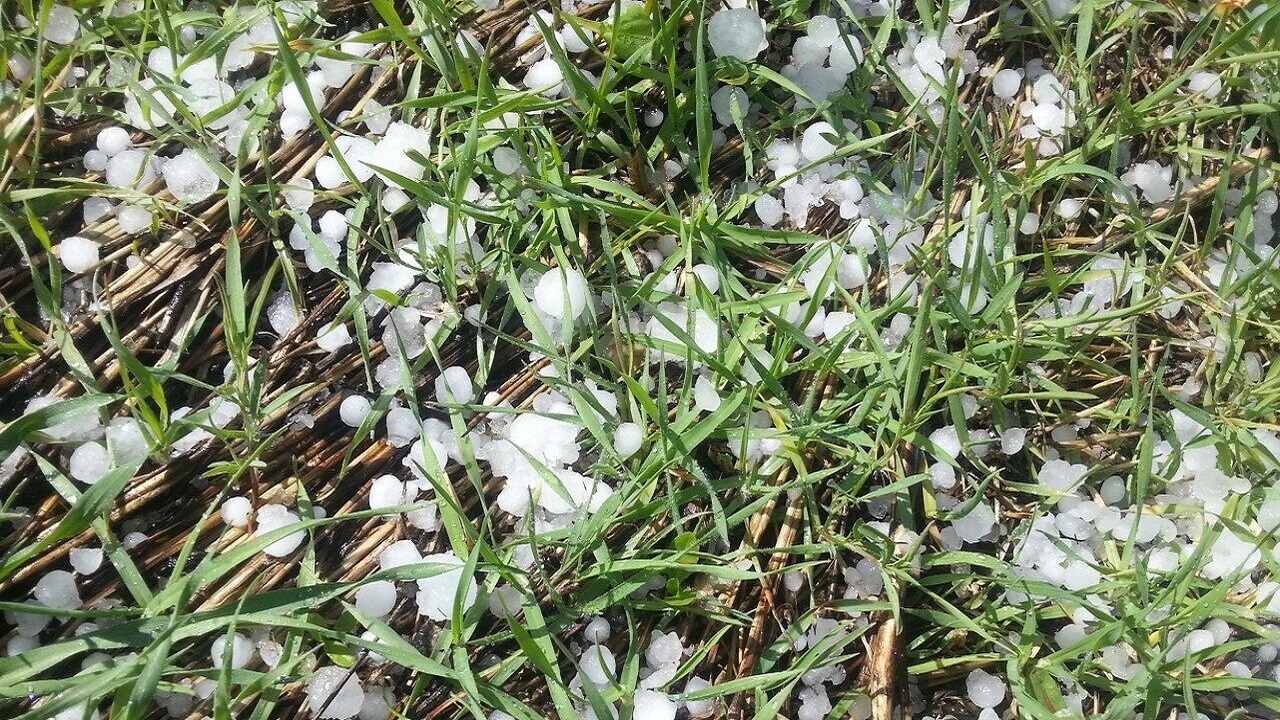 بخش کشاورزی روستا‌های فاروج بر اثر بارش تگرگ خسارت دید + تصویر