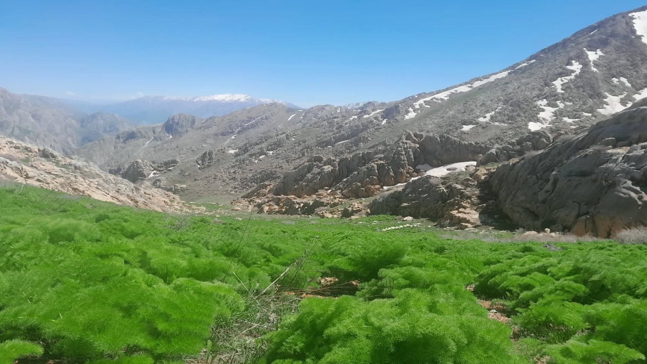 منظره بهاری روستای بندول از نگاه شهروندخبرنگار