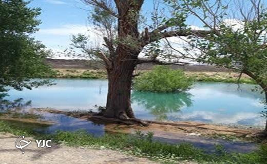 بازدید بانوان محیط زیست از منطقه حفاظت شده کالمند بهادران+عکس