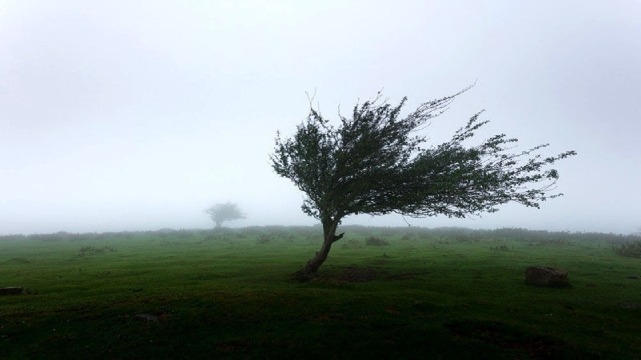 وزش باد به نسبت شدید زنجان را فرا می‌گیرد