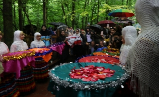 جشنواره نشاء در گیلان +عکس