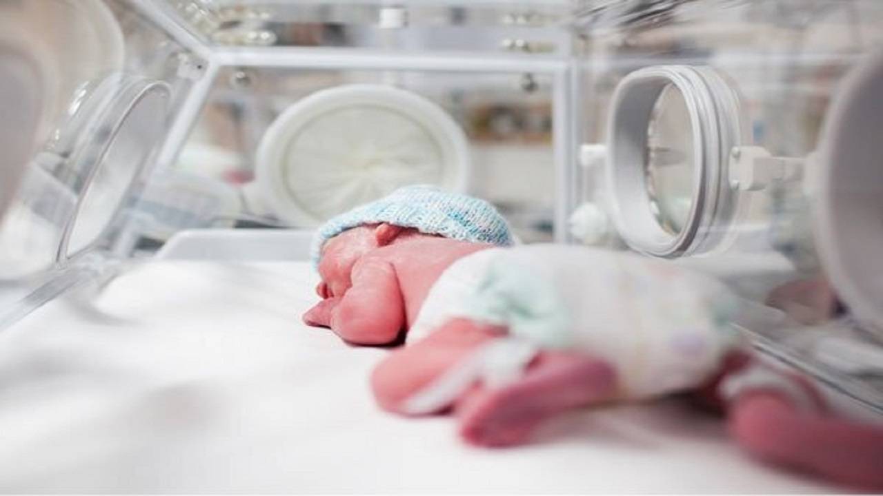 تغییر سبک زندگی یکی از مهمترین عوامل کاهش موالید در کشور 
