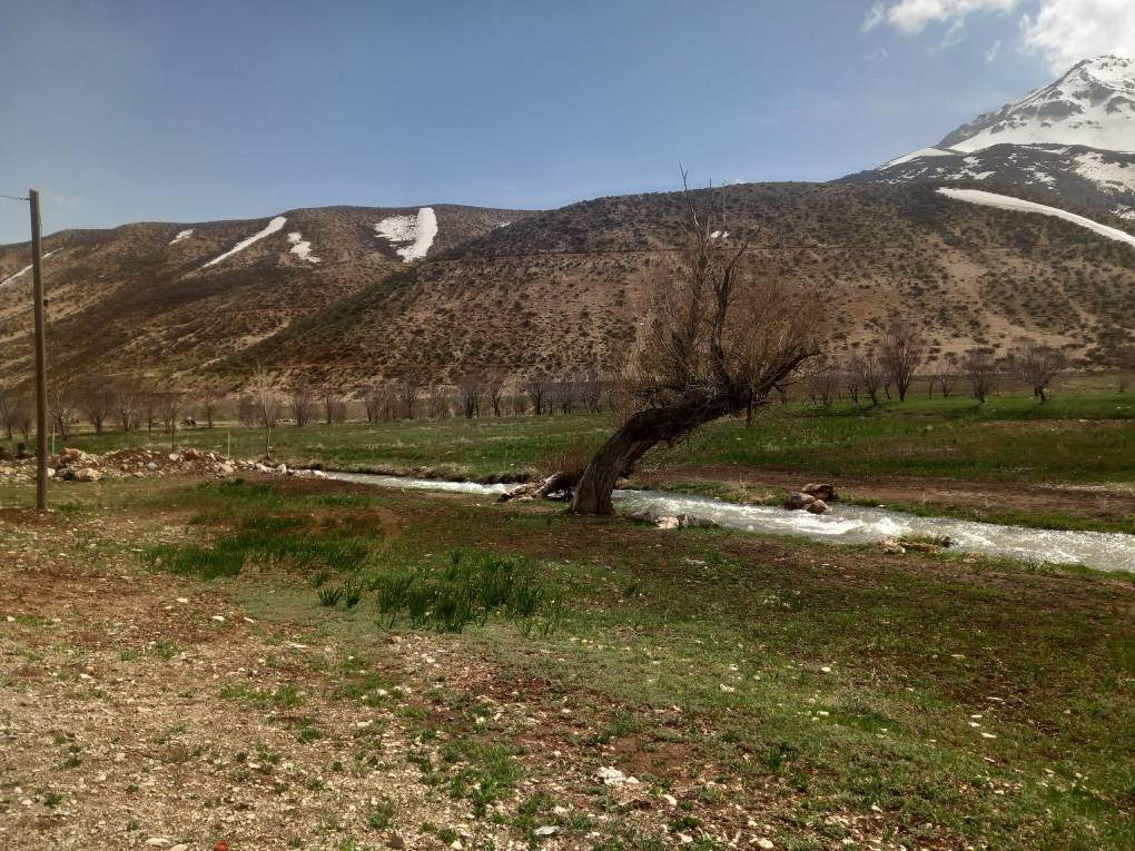 منظره بهاری منظره بهاری