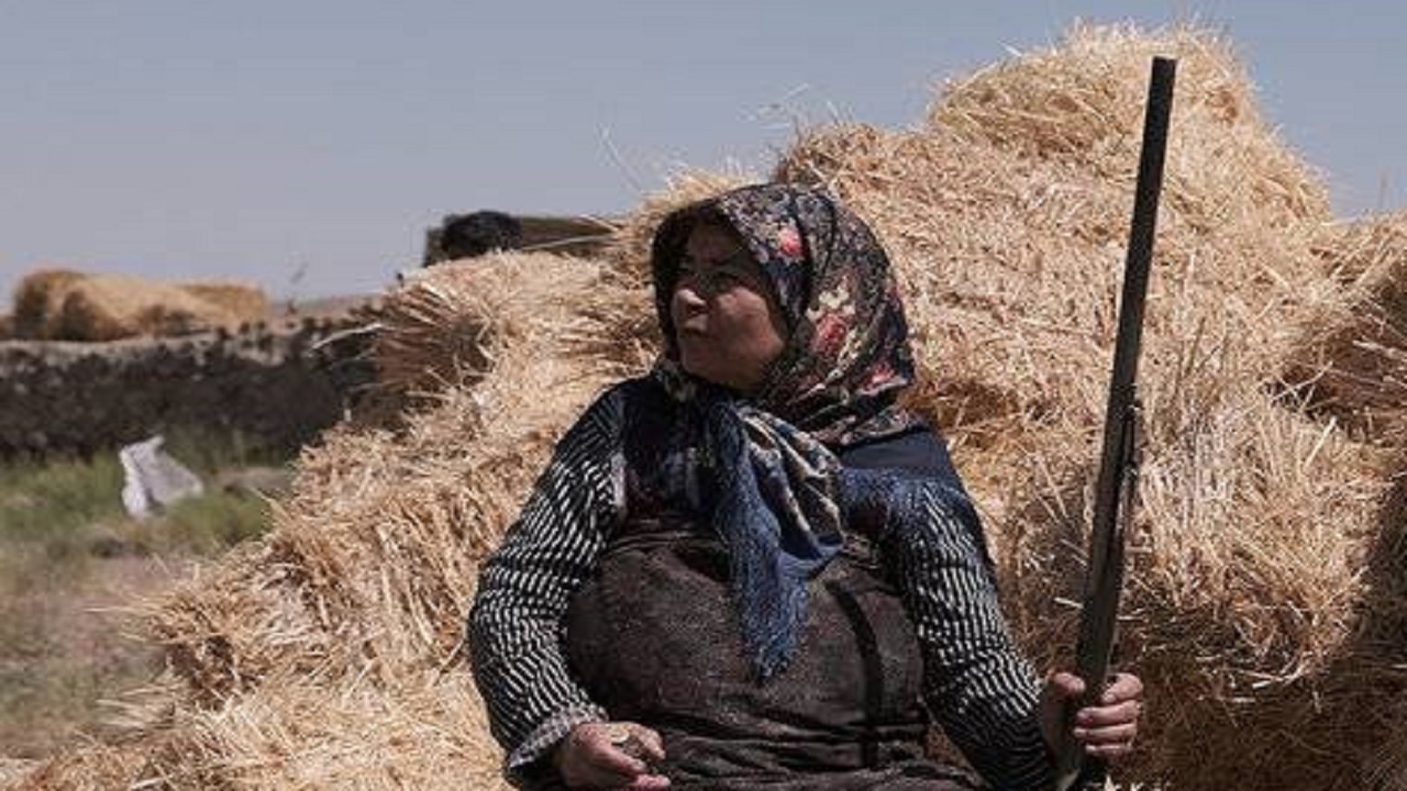 «اسلحه مادری» در قاب شبکه دو