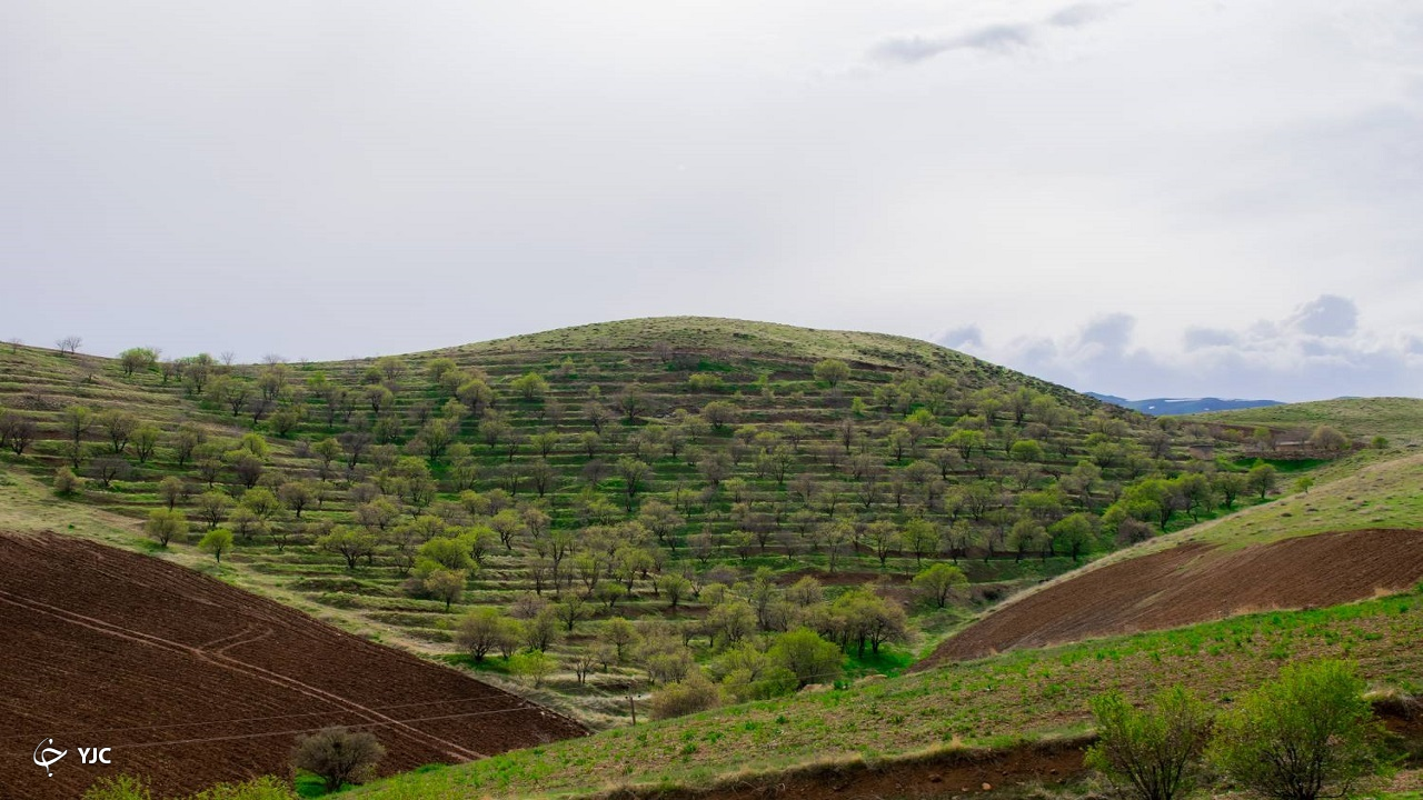 طبیعت بهاری سنندج