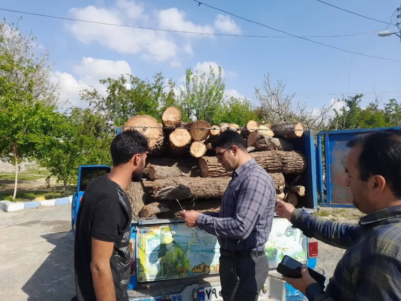 کشف و توقیف بیش از ۲ هزار کیلوگرم چوب قاچاق در ارزوئیه
