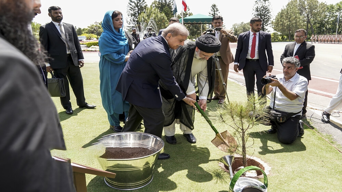 دومین سال طرح کاشت یک میلیارد درخت + فیلم