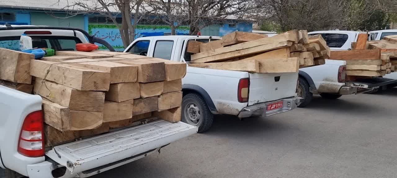 کشف ۱۴۰ اصله قنداق جنگلی در اردبیل