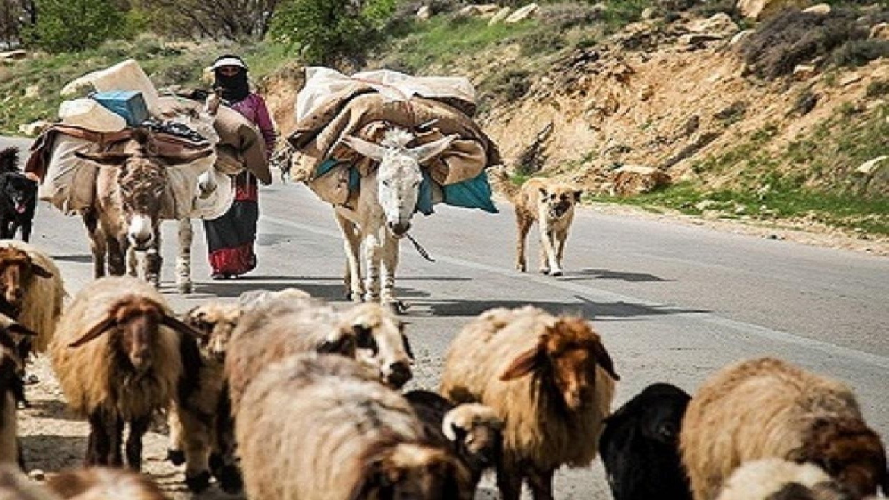 آغاز کوچ بهاره عشایر بروجرد
