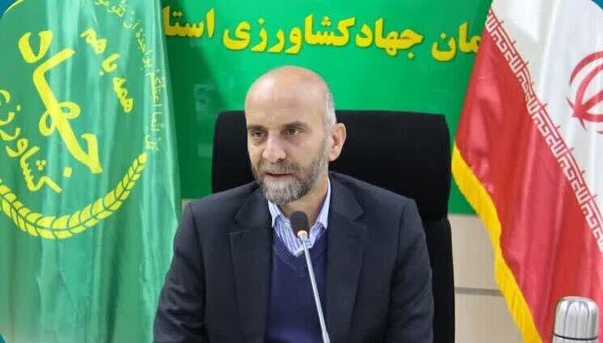 افزایش ۲۰ درصدی تولید محصولات زراعی دیم در لرستان