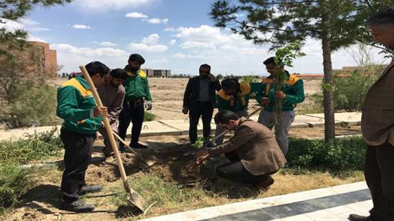 کاشت ۲۰۰ اصله نهال در دانشگاه علوم پزشکی زاهدان