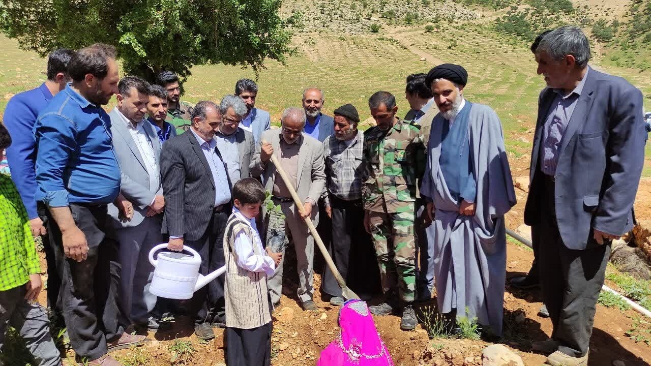 تولید ۳۰۰ میلیون اصله نهال در کشور