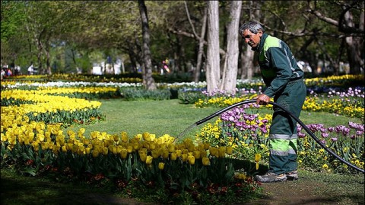 کمبود آب مهم‌ترین چالش توسعه فضای سبز در شهرکرد