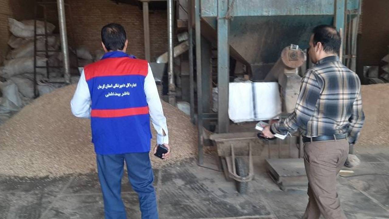 رصد ۳۰ نمونه از محصولات کارخانجات خوراک دام و طیور در کرمان 