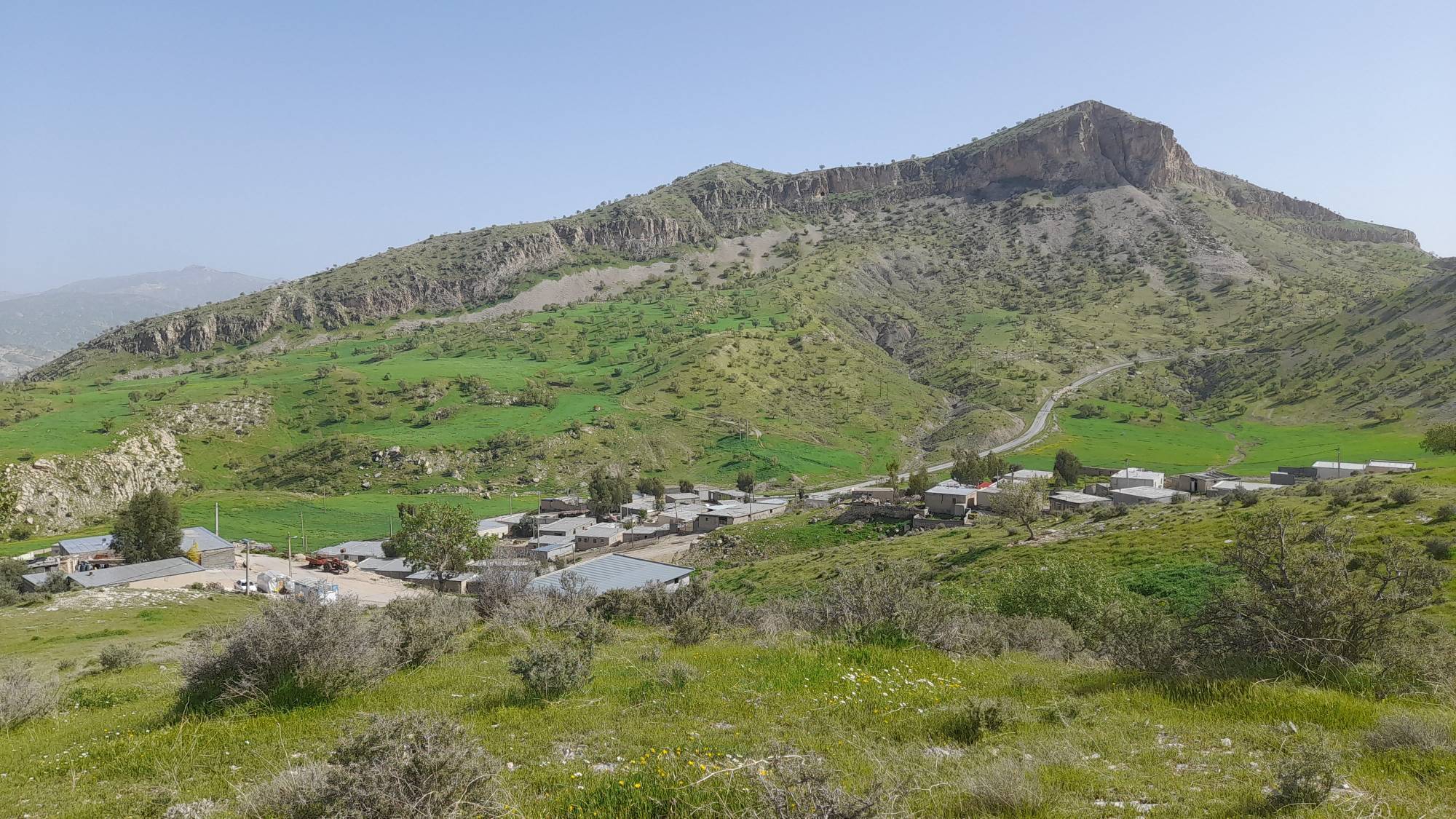 طبیعت سرسبز