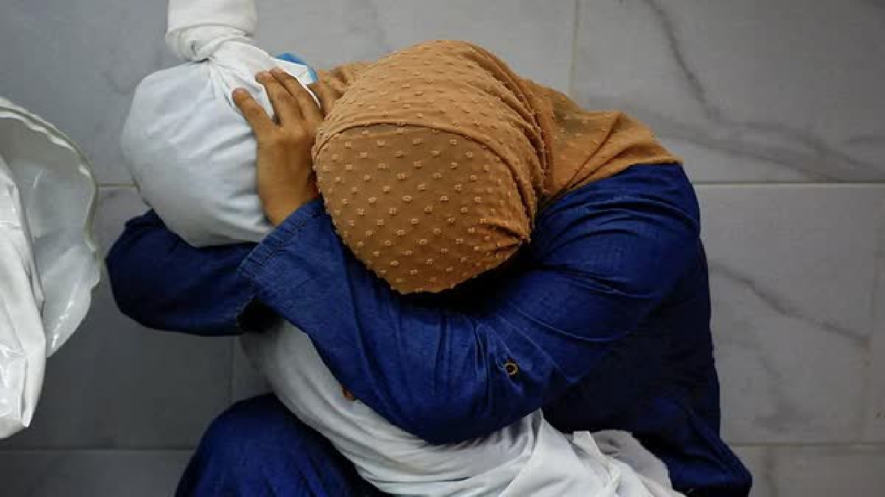 چگونه محمد سالم بهترین عکس جهان را ثبت کرد؟
