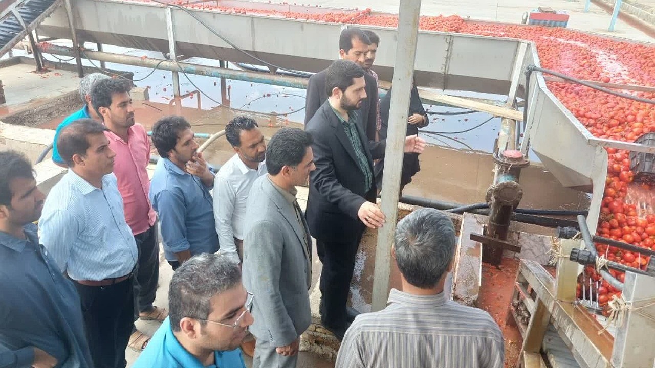 مدعی العموم از کارخانجات رب گوجه بازدید کرد
