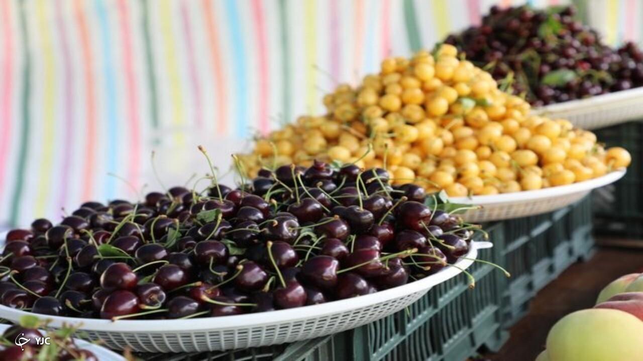 برگزاری هفتمین دوره جشنواره‌سراسری گیلاس در اشنویه