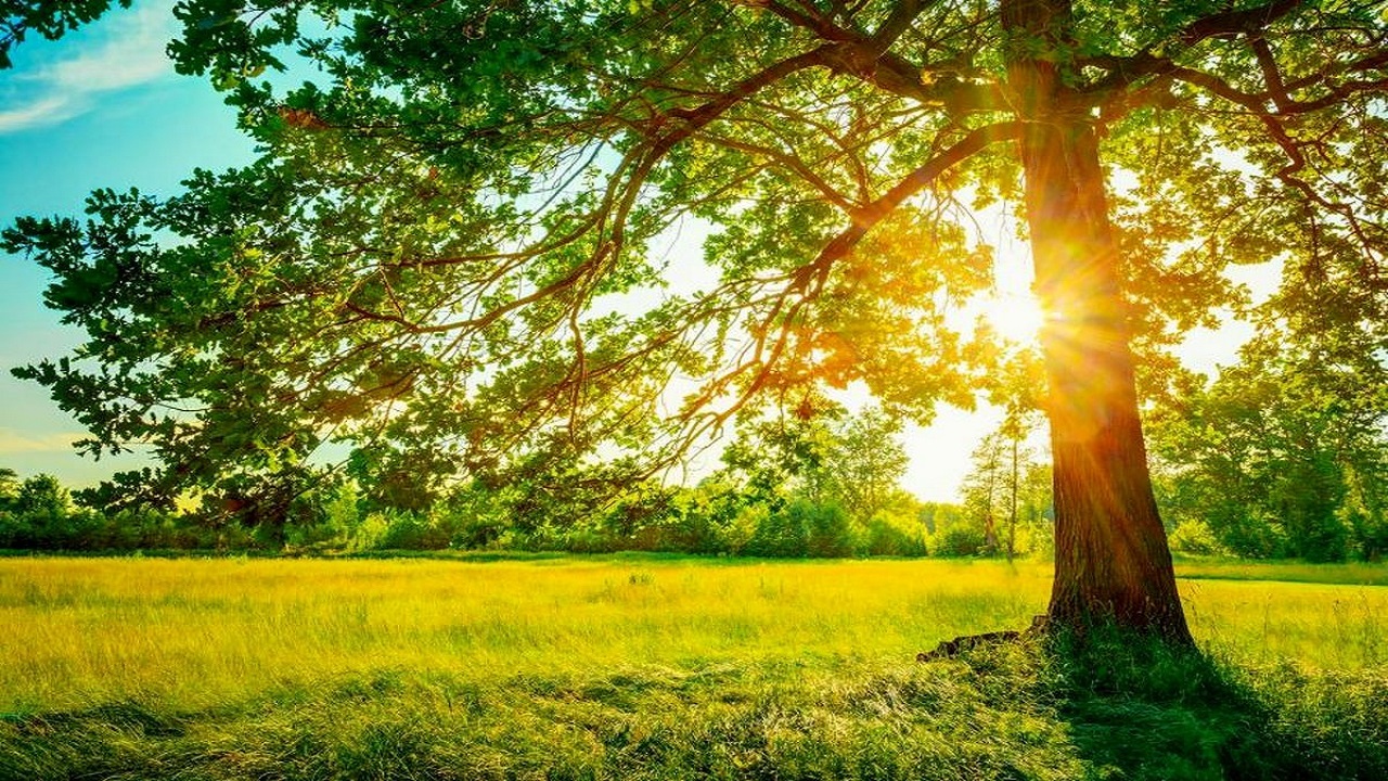 افزایش تدریجی دمای هوا در همدان