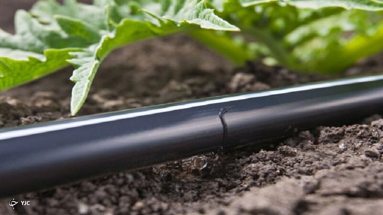 ۸۰ درصد آبیاری مزارع سبزی و صیفی آذربایجان‌غربی با نوارتیپ است