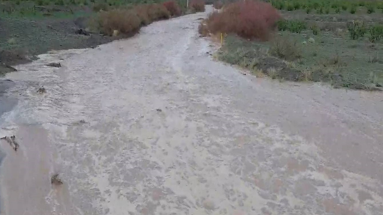 نگاهی به سیلابی شدن روستای دره گزان بر اثر بارش باران + فیلم