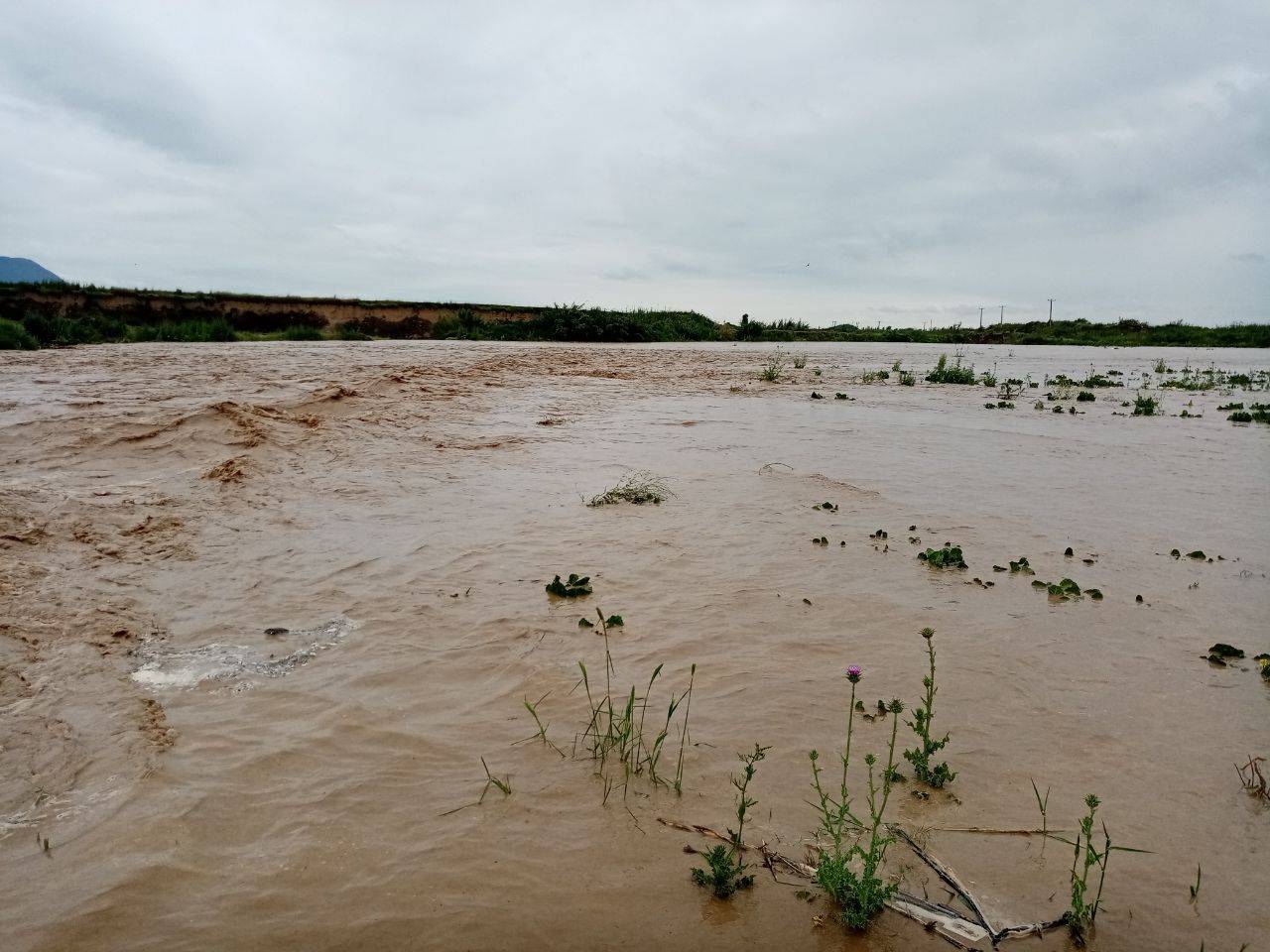 سیل