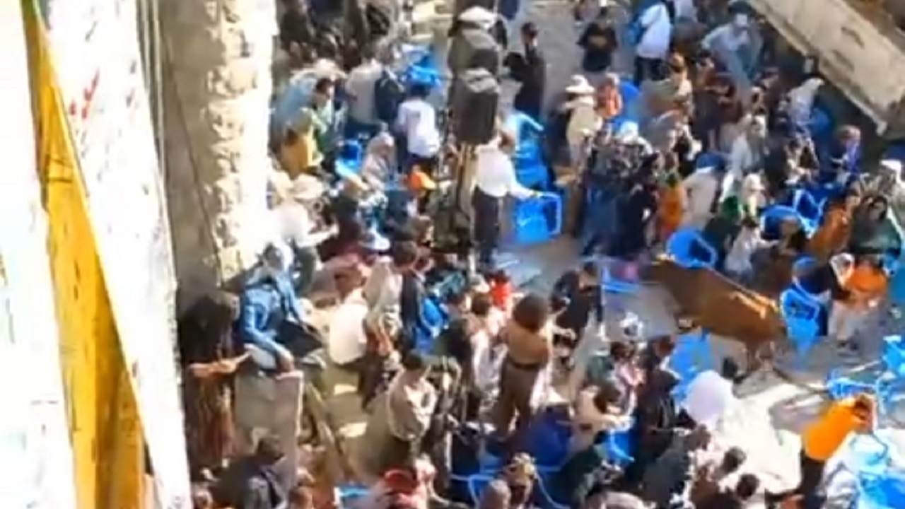 فیلمی از اتفاق جالب حمله گاو به داخل مراسم هزار دف در روستای پالنگان