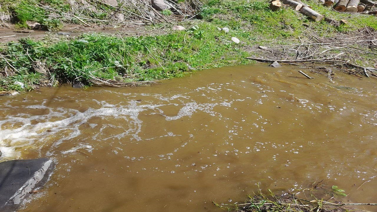 تخلیه فضولات حیوانی رودخانه روستای همای علیا را آلوده کرد + فیلم و تصاویر