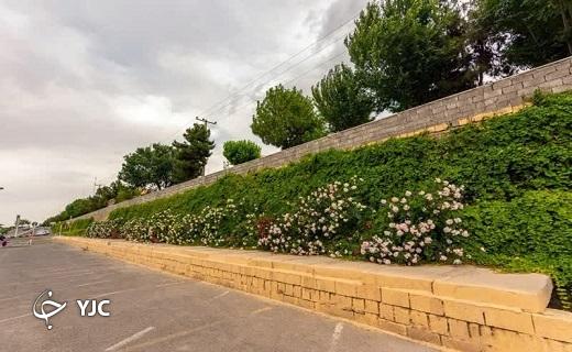 طبیعت قم در اردیبهشت زیبا
