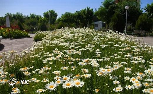 طبیعت قم در اردیبهشت زیبا