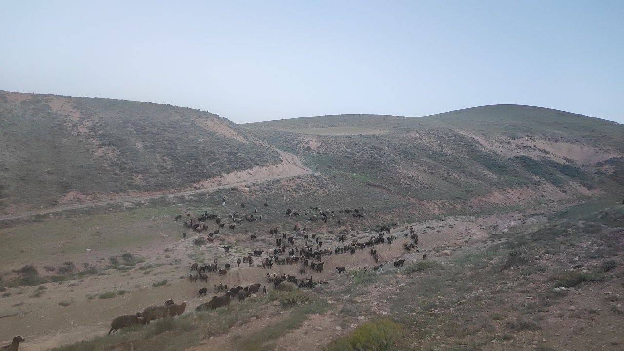 نمایی از روستای توآباد