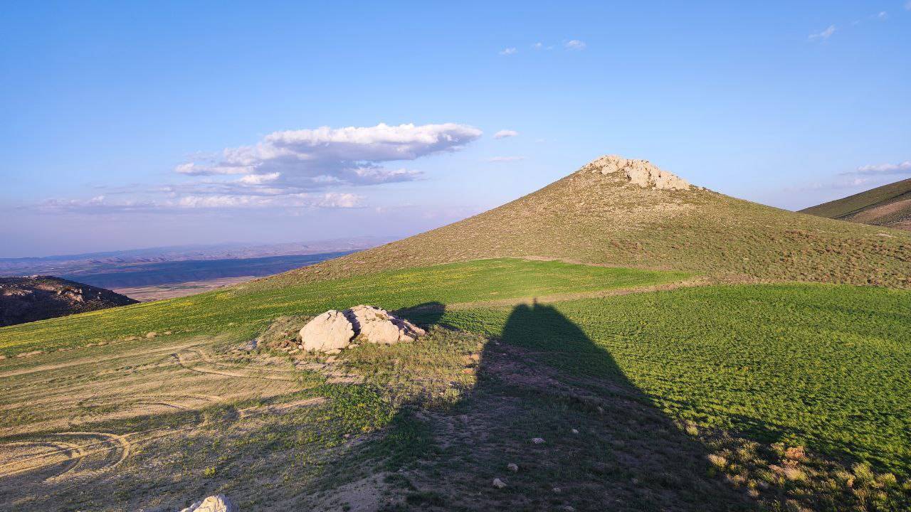 منظره بهاری