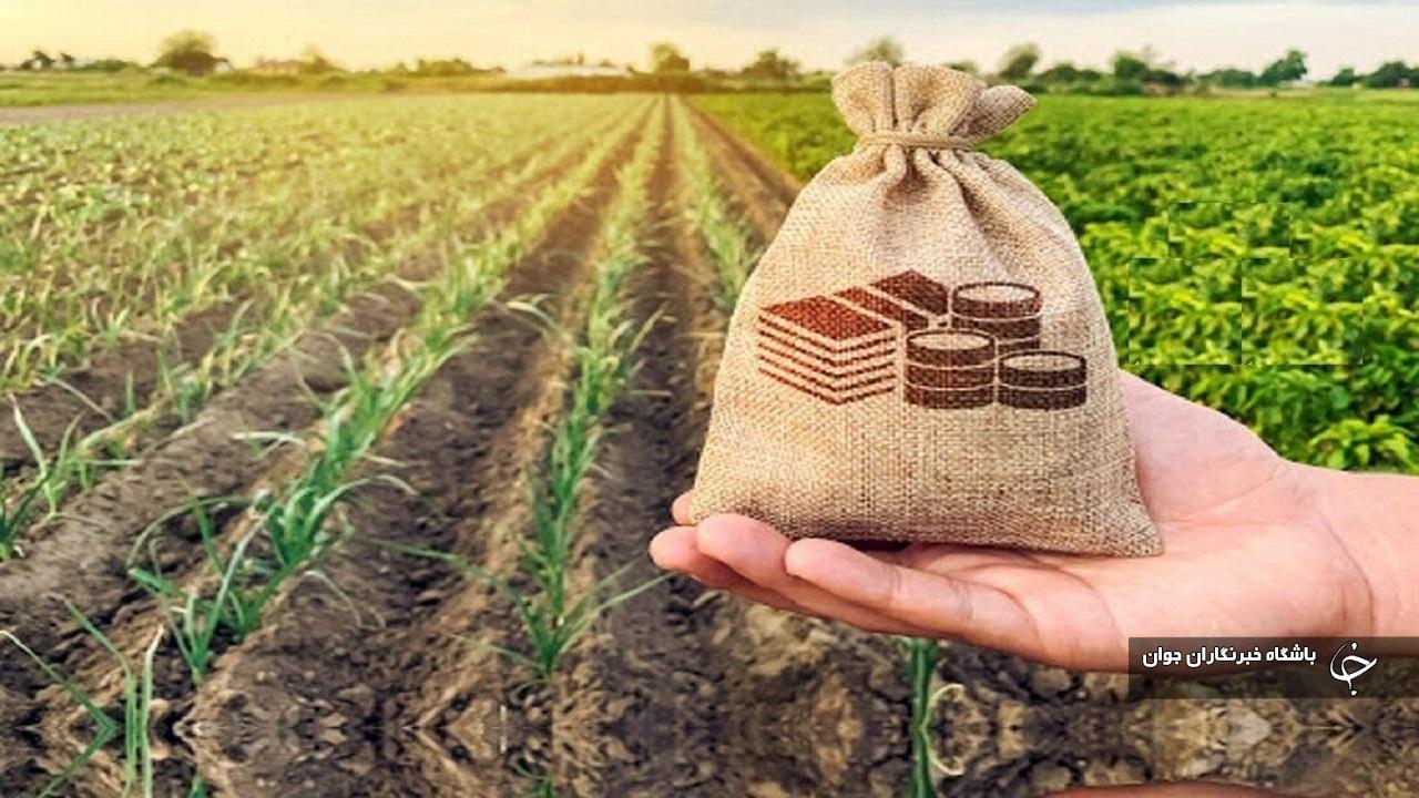 پرداخت حدود ۳۵۰ میلیارد تومان خسارت به بیمه‌گزاران بخش کشاورزی آذربایجان‌غربی