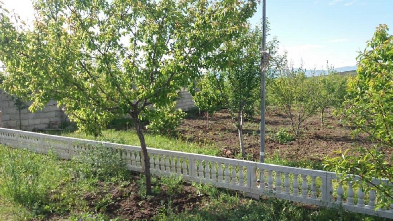 تصاویری از طبیعت روستای گمیش آباد در واپسین روزهای فصل بهار
