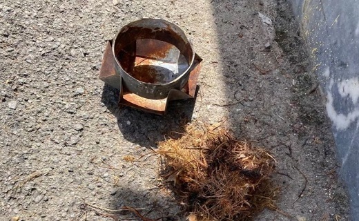لانه گذاری پرنده و انفجار آبگرمکن خانه&zwnj;ای در رشت