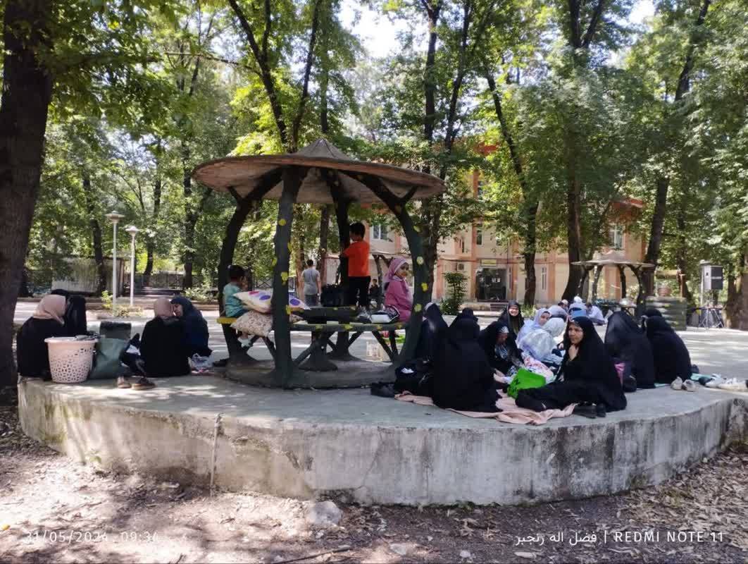 اردوی تفریحی و ورزشی در دلند اردوی تفریحی و ورزشی در دلند