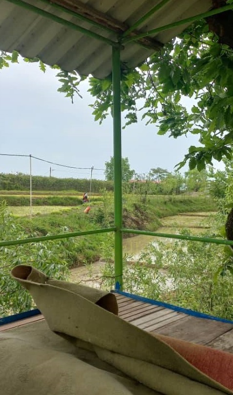 طبیعت