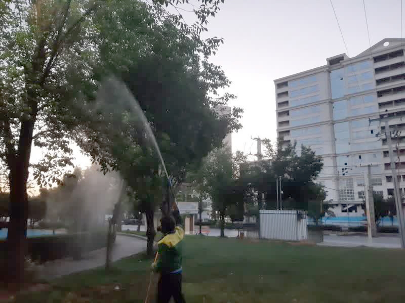 آغاز سم پاشی بهاره درختان فضای عمومی شهر