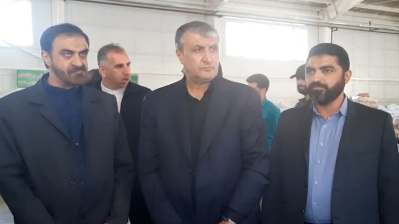 بازدید رئیس سازمان انرژی اتمی ایران از مرکز پرتودهی گاما + فیلم
