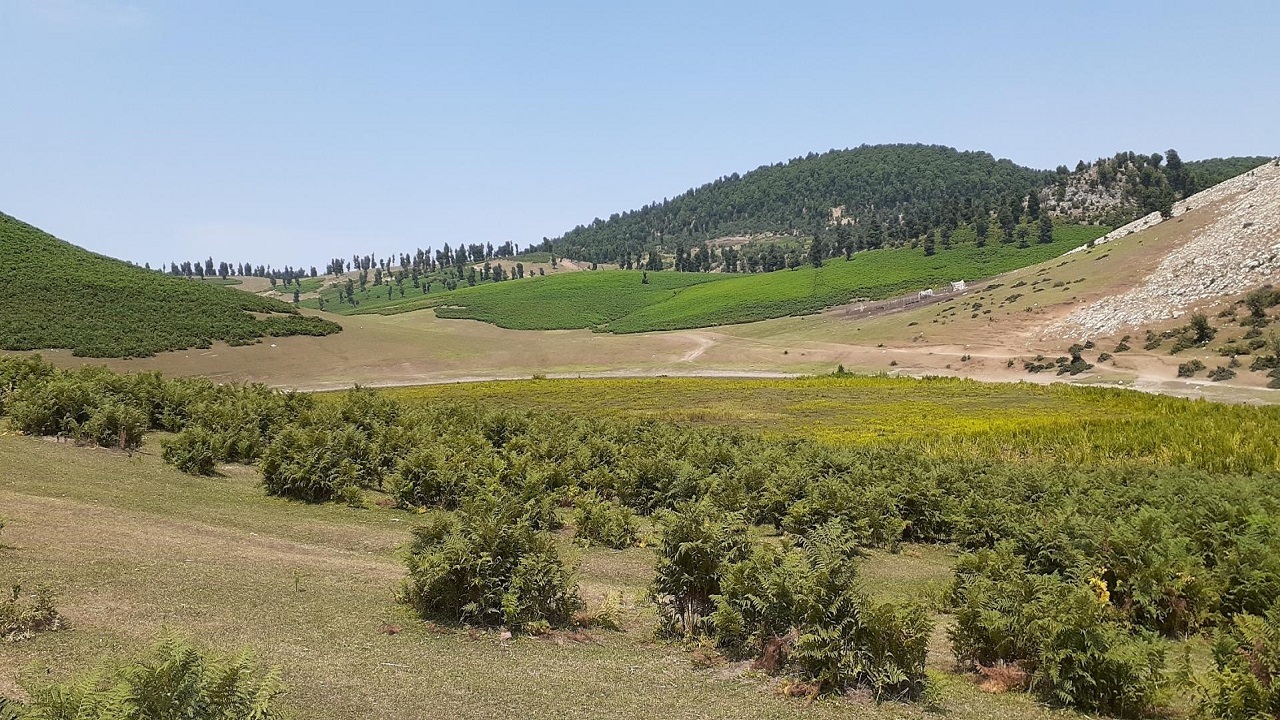 ممنوعیت ورود آفرودسواران به مَرکوه مینودشت
